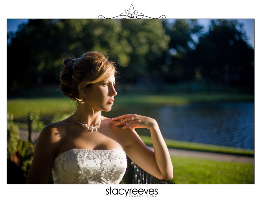 bridal session of Erin Hartnett, wedding gown pics, by Dallas wedding photographer Stacy Reeves