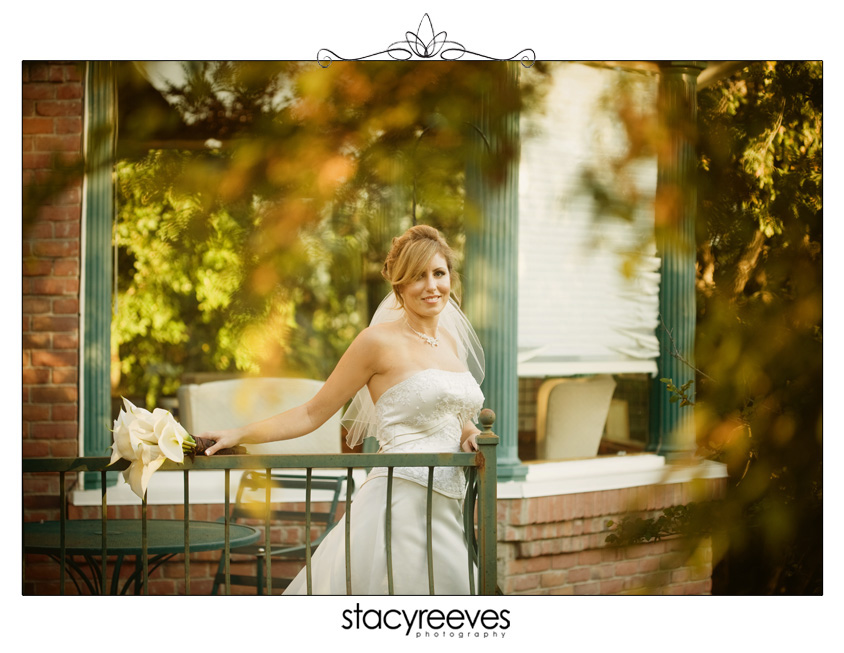 bridal session of Erin Hartnett, wedding gown pics, by Dallas wedding photographer Stacy Reeves