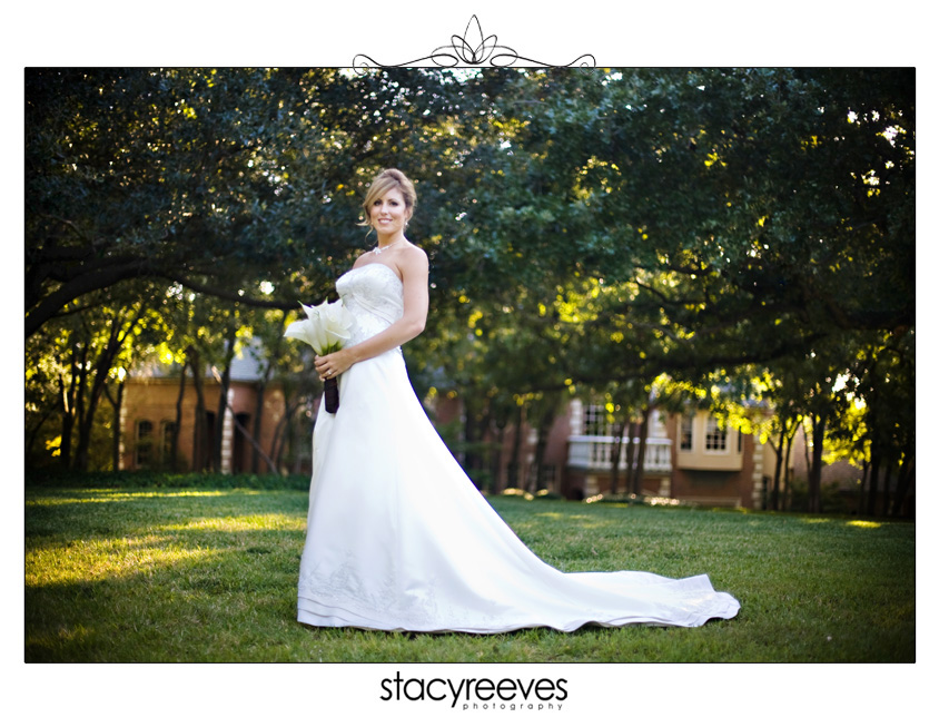 bridal session of Erin Hartnett, wedding gown pics, by Dallas wedding photographer Stacy Reeves