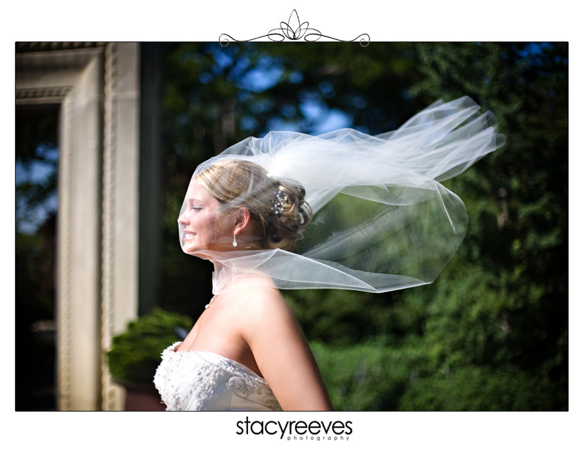 Bridal session of Julie Nienhiser Neinhiser at the Dallas Arboretum by Dallas wedding photographer Stacy Reeves; bride with veil blowing in the wind