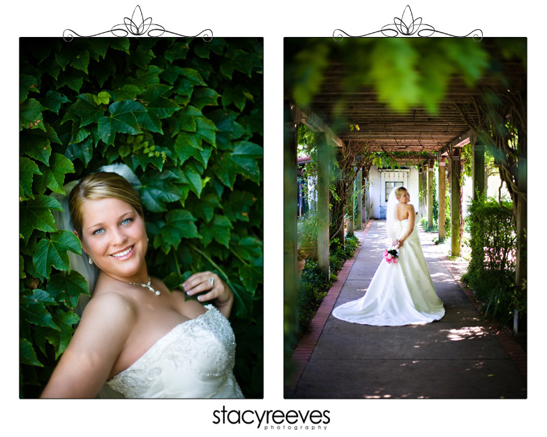 Bridal session of Julie Nienhiser Neinhiser at the Dallas Arboretum by Dallas wedding photographer Stacy Reeves; bride surrounded by foliage and leaves