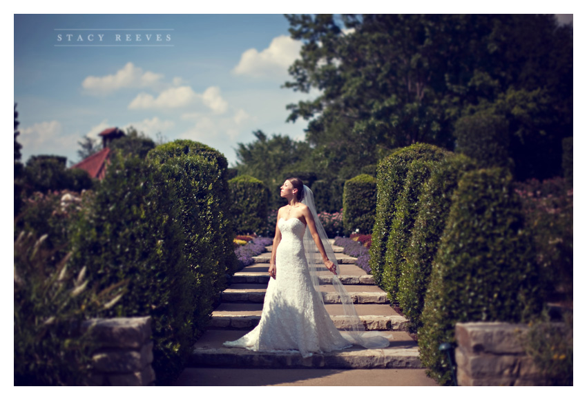 Bridal portrait session of Lisa Kirk Speer at the Dallas Arboretum by Dallas wedding photographer Stacy Reeves