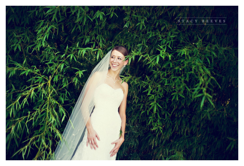 Bridal portrait session of Lisa Kirk Speer at the Dallas Arboretum by Dallas wedding photographer Stacy Reeves