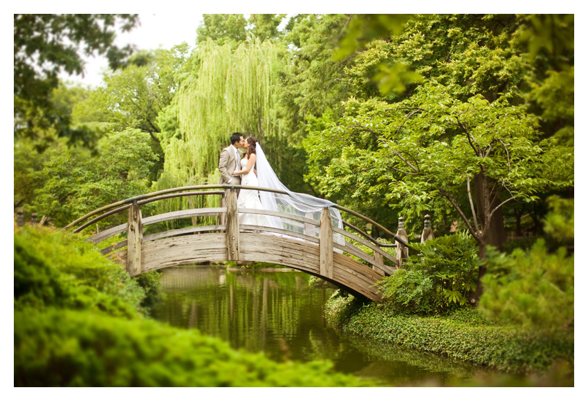 Day After bride and groom portrait session of Paige Kha and Uy Tran at the Fort Worth Japanese Gardens by Dallas wedding photographer Stacy Reeves