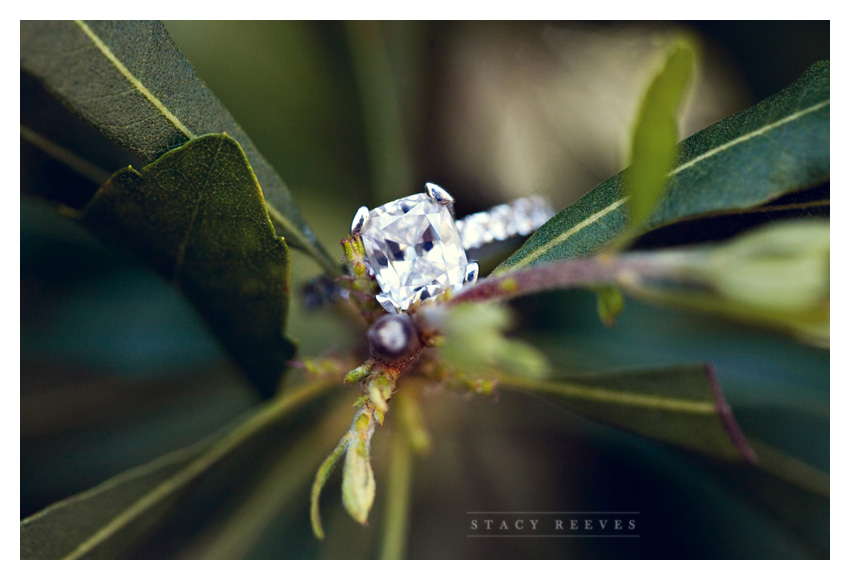 Engagement photo session of Pamela Pammie Tucker and Kyle at Arlington Hall and Lee Park in the Turtle Creek area of downtown Dallas by wedding photographer Stacy Reeves