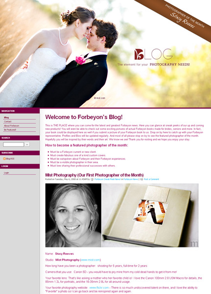 Forbeyon albums featured photographer of the month Dallas wedding photographer Stacy Reeves