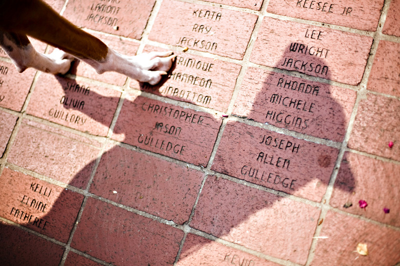 boxer tech graduate student names brick