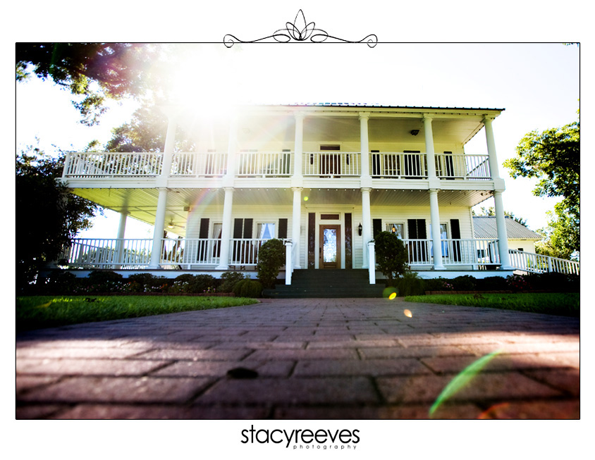 wedding of allison alli tacquard and matthew matt lynn at house plantation in hockley texas by dallas wedding photographer stacy reeves