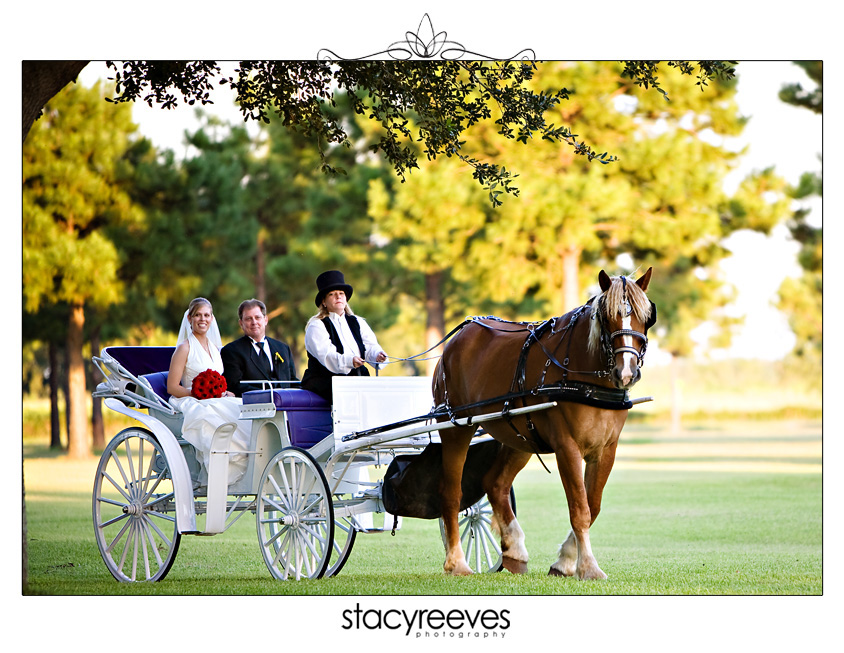 wedding of allison alli tacquard and matthew matt lynn at house plantation in hockley texas by dallas wedding photographer stacy reeves