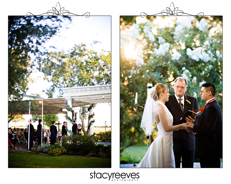 wedding of allison alli tacquard and matthew matt lynn at house plantation in hockley texas by dallas wedding photographer stacy reeves