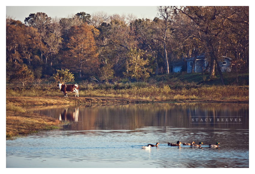 Holly Harlan and Shane intimate Houston wedding elopement at Briscoe Manor by best wedding photographer Stacy Reeves