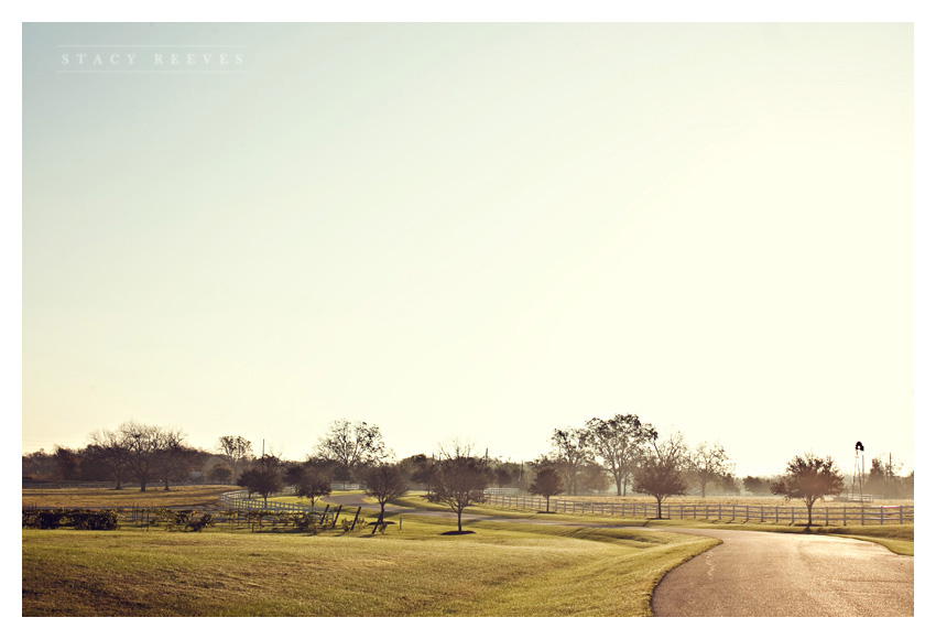 Holly Harlan and Shane intimate Houston wedding elopement at Briscoe Manor by romantic wedding photographer Stacy Reeves