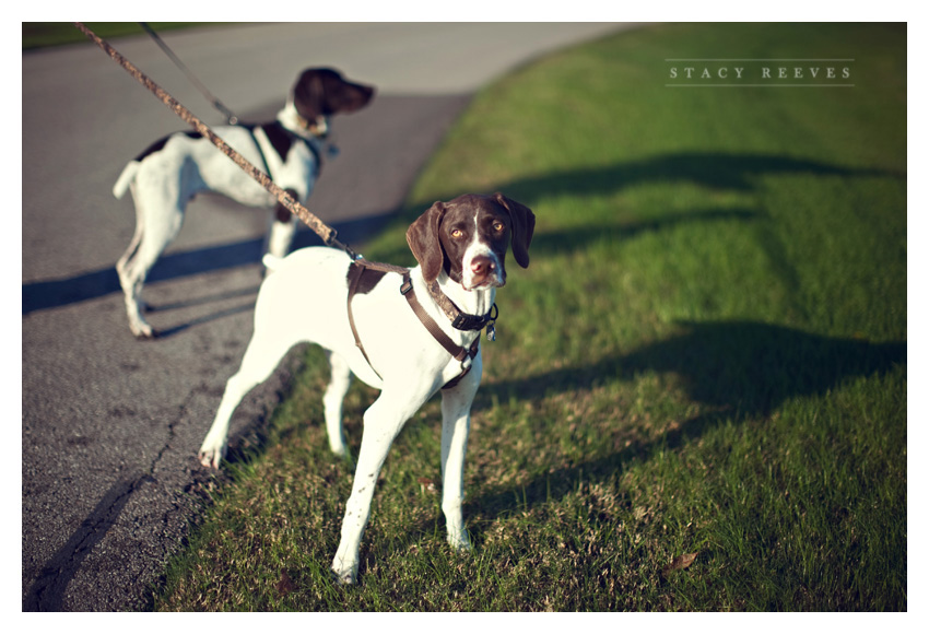 Holly Harlan and Shane intimate Houston wedding elopement at Briscoe Manor by classic wedding photographer Stacy Reeves