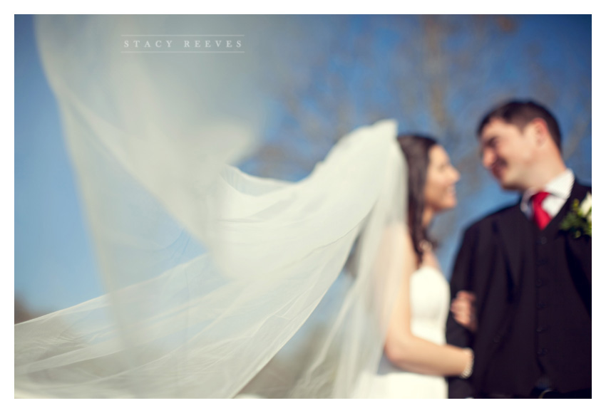 Holly Harlan and Shane intimate Houston wedding elopement at Briscoe Manor by Dallas wedding photographer Stacy Reeves