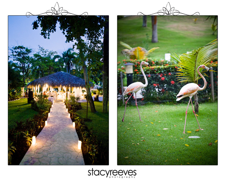 Destination wedding of Nikole Busenius and Chris Bordato at Sun Village Resort in Cofresi, Puerta Plata, Dominican Republic by Dallas wedding photographer Stacy Reeves