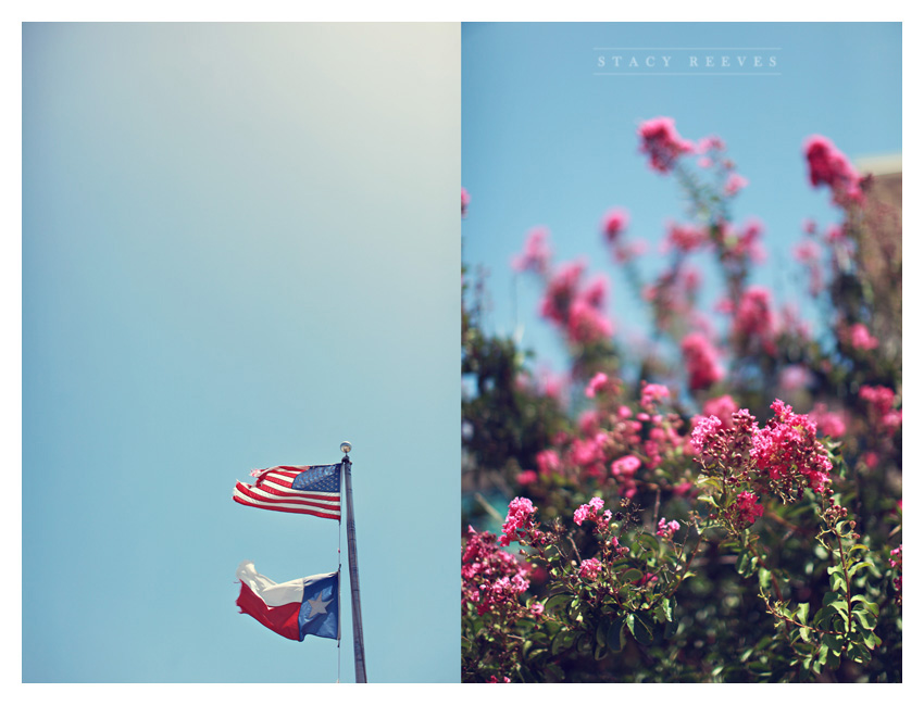 Courthouse Justice of the Peace City Hall wedding in Frisco Texas by Dallas wedding photographer Stacy Reeves