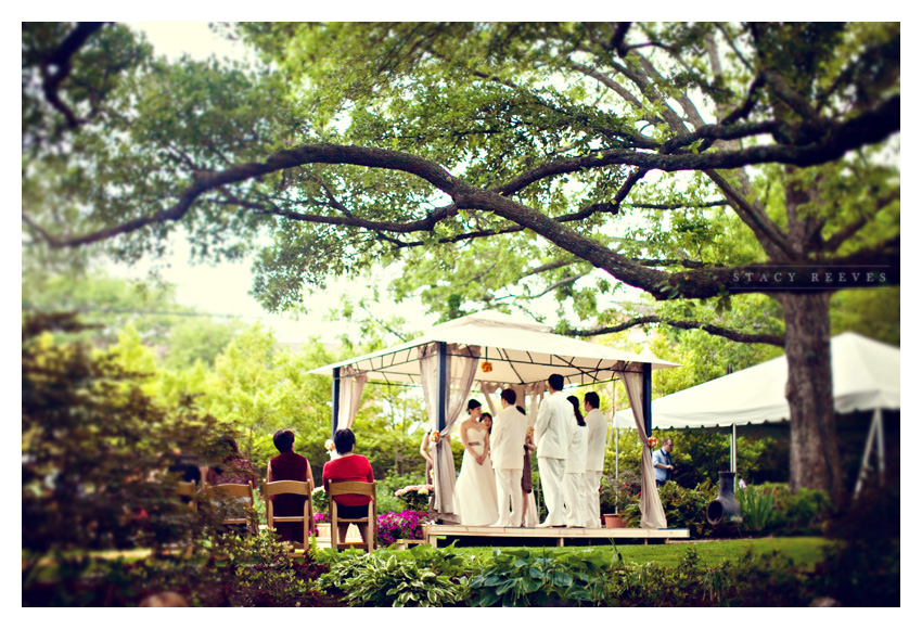 wedding of Zi Ling and Gary Lichliter at a private residence in Highland Park near White Rock Lake by Dallas wedding photographer Stacy Reeves